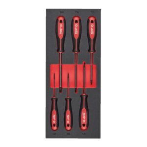 ΕΝΘΕΤΟ ΑΦΡΟΥ ΜΕ TRILOBE TORX ΚΑΤ/ΔΙΑ SET 6τμχ MW