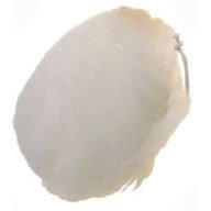 ΓΟΥΝΑ ΣΤΙΛΒΩΣΗΣ 140mm PG